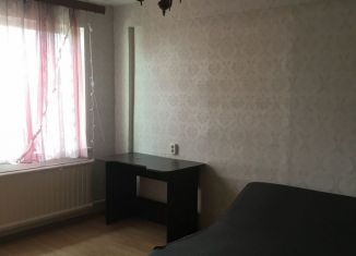 Продаю двухкомнатную квартиру, 45.8 м2, Санкт-Петербург, улица Софьи Ковалевской, 16к3, Калининский район