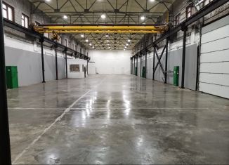 Сдаю в аренду производство, 900 м2, Петрозаводск, улица Ригачина, 64