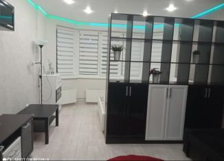 Сдаю в аренду 1-ком. квартиру, 45.1 м2, Нижний Новгород, Первоцветная улица, 8к2, ЖК Цветы