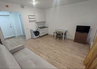 Сдается в аренду квартира студия, 25.5 м2, деревня Новое Девяткино, Главная улица, 8