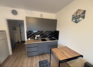 Аренда квартиры студии, 21 м2, Санкт-Петербург, Пахомовская улица, 14к2, метро Академическая