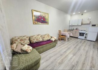 Аренда квартиры студии, 31 м2, Новосибирск, улица Сержанта Коротаева, 9, ЖК Черёмушки