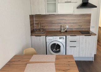 Аренда квартиры студии, 22 м2, Санкт-Петербург, Муринская дорога, 29, метро Академическая