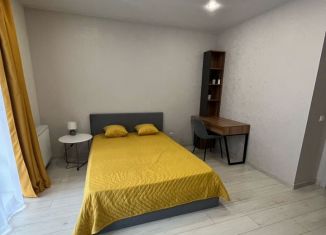 Сдаю квартиру студию, 25 м2, посёлок Шушары, Старорусский проспект, 9