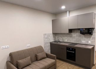 Сдаю квартиру студию, 32 м2, Санкт-Петербург, Богатырский проспект, 2А, Приморский район