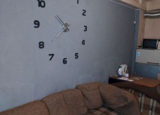 Сдаю в аренду квартиру студию, 23 м2, Мурманская область, улица Виктора Миронова, 10