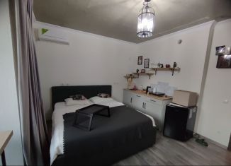 Квартира в аренду студия, 24 м2, Краснодар, улица Героев-Разведчиков, 8с2, микрорайон Панорама