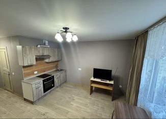 Квартира в аренду студия, 27 м2, Тюмень, улица Тимофея Чаркова, 28, ЖК Новый Мыс 3.0