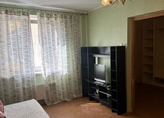 Сдам в аренду 1-комнатную квартиру, 40 м2, посёлок Металлострой, Садовая улица, 2к3