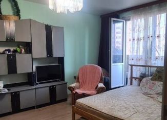 Сдам однокомнатную квартиру, 43 м2, Москва, Белореченская улица, ЮВАО