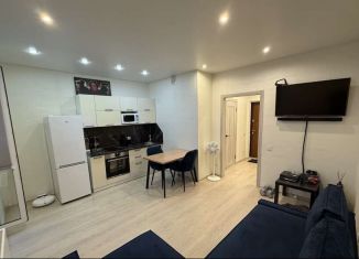 Сдается квартира студия, 24.8 м2, Тюмень, Верхнетарманская улица, 5, ЖК Новый Мыс 2.0