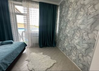 Сдача в аренду 1-ком. квартиры, 28 м2, Сочи, Пластунская улица, 234А