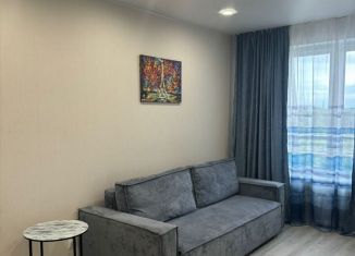 Однокомнатная квартира в аренду, 35 м2, Гатчина, улица Чехова, 43к1