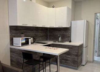 Сдается в аренду квартира студия, 30 м2, Санкт-Петербург, Ультрамариновая улица, 8, ЖК Пульс на Набережной