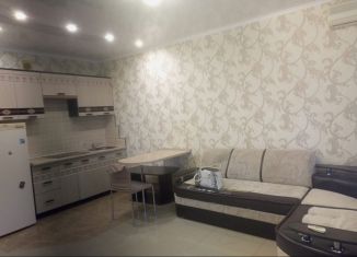 Сдам в аренду квартиру студию, 35 м2, Краснодар, улица Соколова, 86к2, микрорайон Горхутор