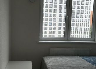 1-ком. квартира в аренду, 34.2 м2, Мурино, улица Шоссе в Лаврики, 51