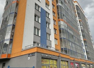 Сдается квартира студия, 24 м2, Мурино, Екатерининская улица, 3/4