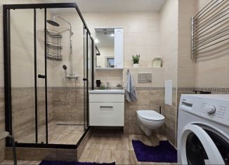 Аренда квартиры студии, 25 м2, Мурино, Екатерининская улица, 10