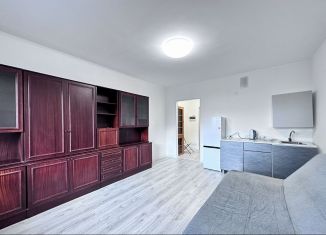 Сдаю квартиру студию, 25 м2, посёлок Шушары, Новгородский проспект, 2к1