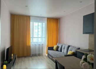 Сдаю в аренду квартиру студию, 24 м2, посёлок Шушары, Старорусский проспект, 8к2