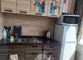 Сдача в аренду однокомнатной квартиры, 30 м2, Санкт-Петербург, улица Пионерстроя, 7к1, муниципальный округ Сосновая Поляна