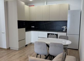 Сдаю в аренду 2-ком. квартиру, 52.4 м2, Тюмень, улица Фармана Салманова, 21