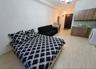 Квартира в аренду студия, 20 м2, Чехов, улица Гарнаева, 20