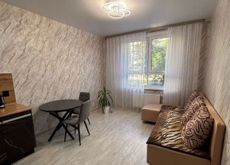 Однокомнатная квартира в аренду, 40 м2, Пермь, улица Елькина, 14