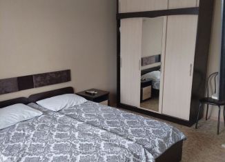 Сдам в аренду квартиру студию, 25 м2, село Орёл-Изумруд, Дачная улица, 17/5