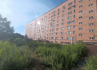 2-комнатная квартира на продажу, 50.4 м2, Абакан, проспект Дружбы Народов, 3