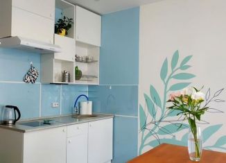 Сдаю 1-комнатную квартиру, 31 м2, Уфа, Железняцкая улица, 37/1