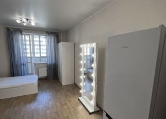 Аренда квартиры студии, 25 м2, Мурино, проспект Авиаторов Балтики, 3, ЖК Мой Город