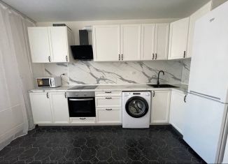 Сдам в аренду 1-ком. квартиру, 36.6 м2, Мурино, Екатерининская улица, 30, ЖК Авиатор