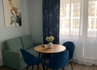 1-ком. квартира на продажу, 31.6 м2, Мурино, Ручьёвский проспект, 2, ЖК Авиатор