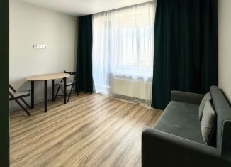 Продам квартиру студию, 28.3 м2, Краснодар, Старокубанская улица, 2/5, микрорайон Черемушки