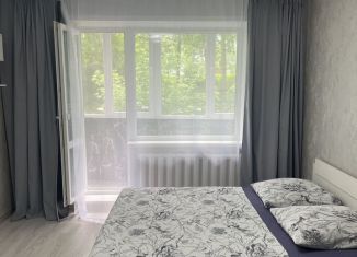 Сдается 1-ком. квартира, 40 м2, Пенза, улица Кижеватова, 29, Первомайский район