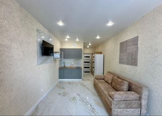 Продажа квартиры студии, 24 м2, Сочи, Ясногорская улица, 16/8к1, микрорайон Бытха