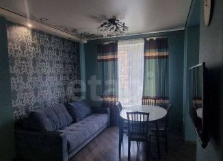 Продается двухкомнатная квартира, 52.5 м2, посёлок Молодёжный, улица Вадима Усова, 7, ЖК Молодёжный