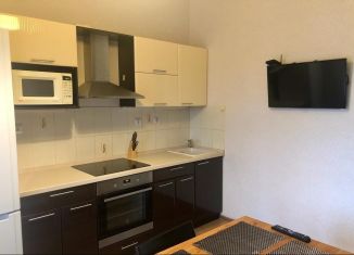 Однокомнатная квартира на продажу, 42.8 м2, Санкт-Петербург, Красносельский район, Петергофское шоссе, 53