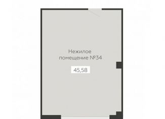 Продаю помещение свободного назначения, 45.58 м2, Воронеж, Новосибирская улица, 13Б, Левобережный район