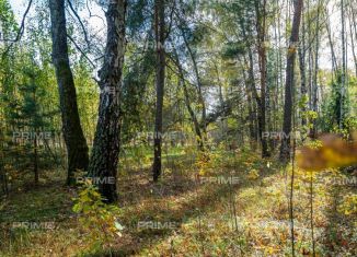 Продается участок, 21.8 сот., деревня Раздоры