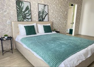 Сдается в аренду 1-ком. квартира, 39 м2, Хабаровск, улица Сысоева, 8