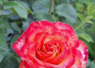 Продается гараж, 25 м2, Саров