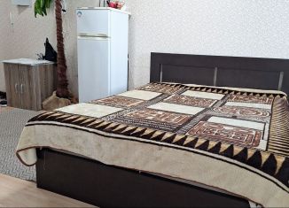 Аренда комнаты, 25 м2, Республика Башкортостан, улица Менделеева, 102