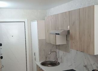 Продается квартира студия, 15 м2, Новосибирск, улица Жуковского, 105