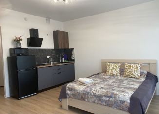 Сдается в аренду квартира студия, 26 м2, деревня Новое Девяткино, Главная улица, 14