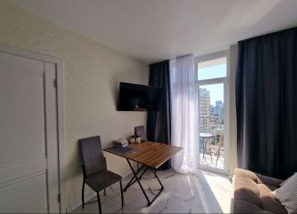 Продаю 1-ком. квартиру, 34 м2, Сочи, переулок Трунова, 6к1, микрорайон Завокзальный