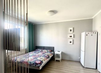Квартира на продажу студия, 30.7 м2, городской посёлок Янино-1, Ясная улица, 9к1