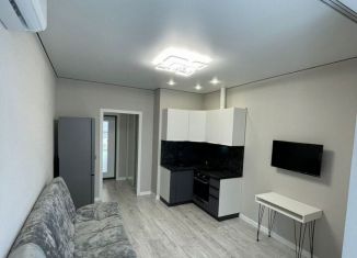 Продаю квартиру студию, 20.9 м2, Краснодар, улица Западный Обход, улица Западный Обход