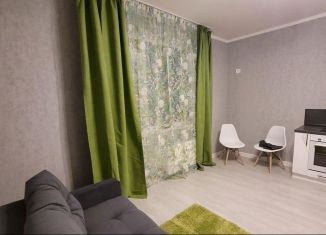 Продаю квартиру студию, 23.2 м2, Санкт-Петербург, метро Звёздная, Среднерогатская улица, 16к2